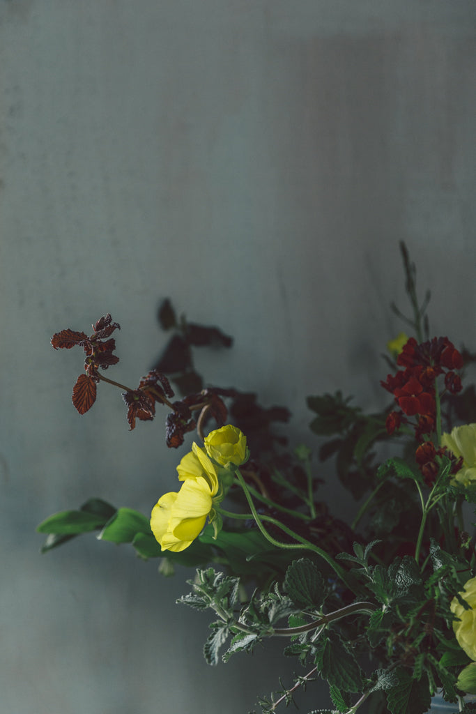 THE SUNDAY FLOWER  SCHOOL - SUNDAY 20th OCTOBER  (MORNING)