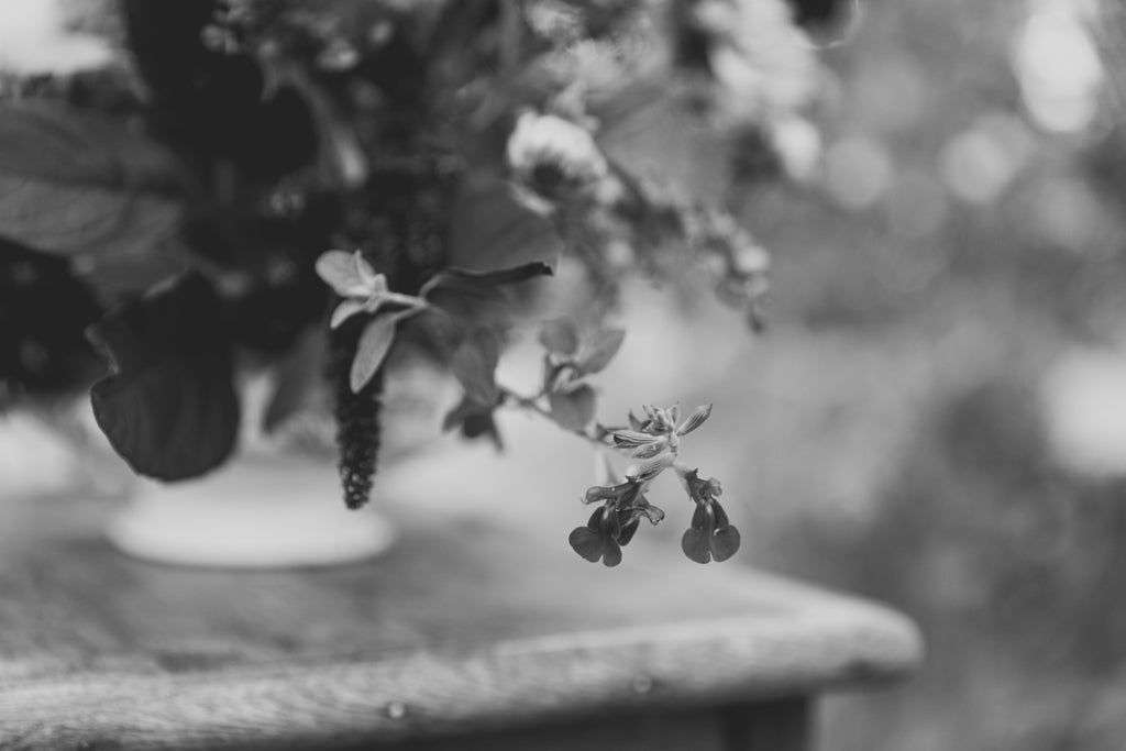 THE SUNDAY FLOWER  SCHOOL - SUNDAY 20th OCTOBER  (MORNING)
