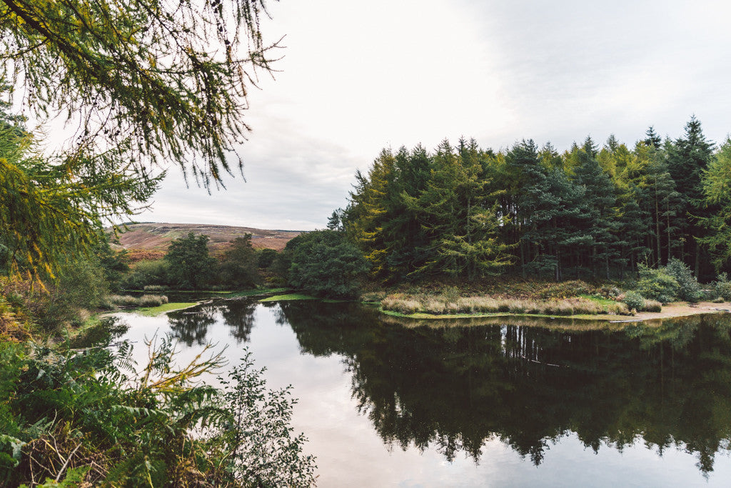 CAPTURING A WALK IN SPRING - OSMOTHERLEY  - SATURDAY 6TH MAY