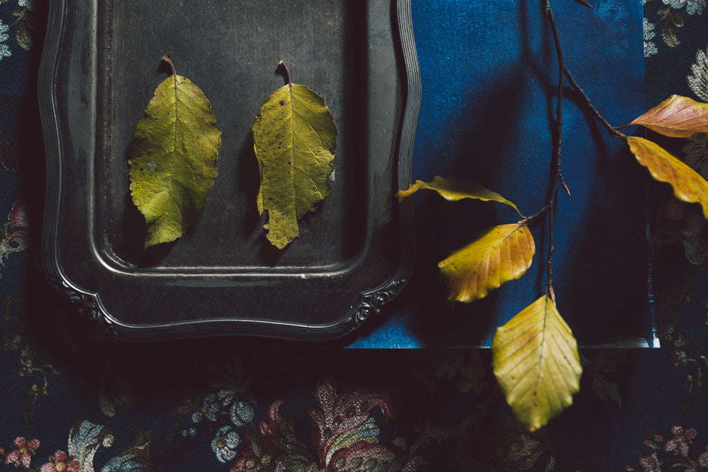 CAPTURING AUTUMN - SUNDAY 15TH OCTOBER