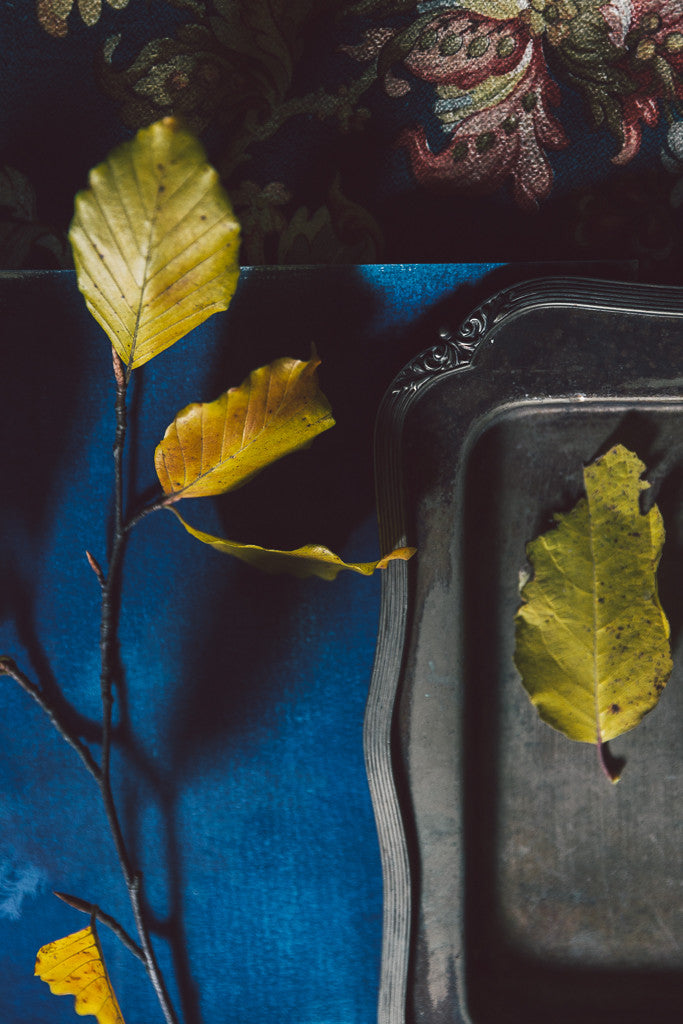 CAPTURING AUTUMN - SUNDAY 15TH OCTOBER