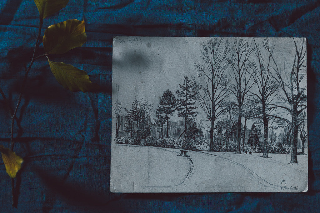 CAPTURING AUTUMN - SUNDAY 15TH OCTOBER