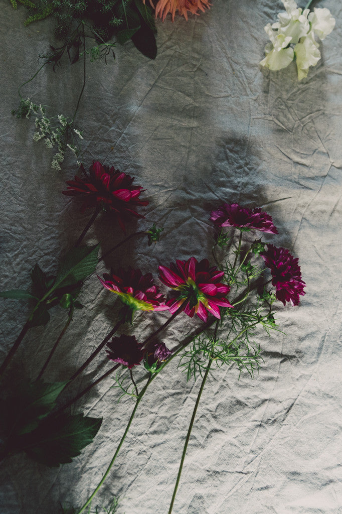 EXPLORE YOUR CAMERA WITH CHARLOTTE EVE  - SUNDAY 25TH MARCH