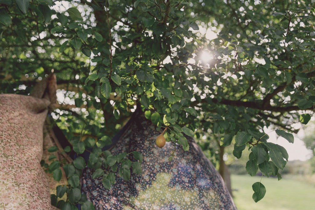 EXPLORE YOUR CAMERA WITH CHARLOTTE EVE  - SUNDAY 25TH MARCH