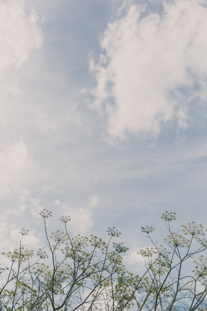 EXPLORE YOUR CAMERA WITH CHARLOTTE EVE  - SUNDAY 25TH MARCH