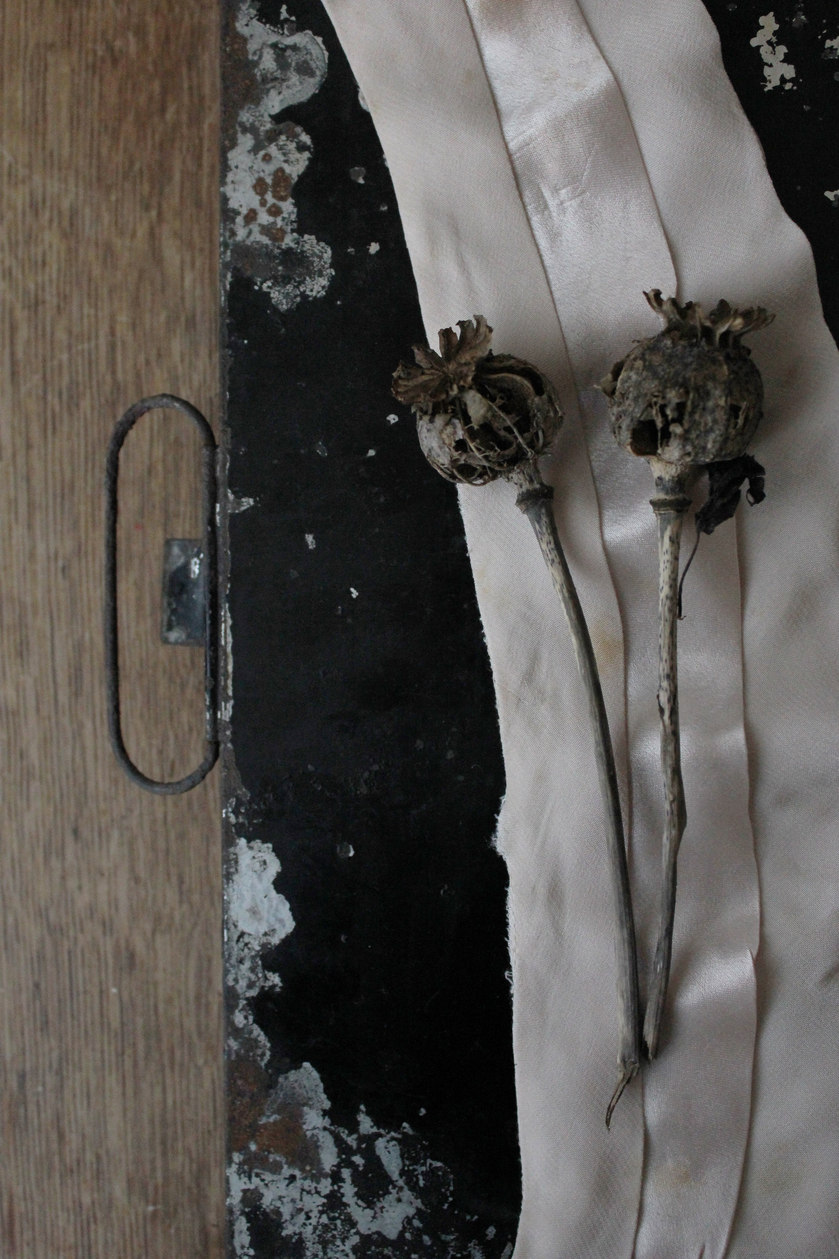 CAPTURING AUTUMN - SUNDAY 15TH OCTOBER