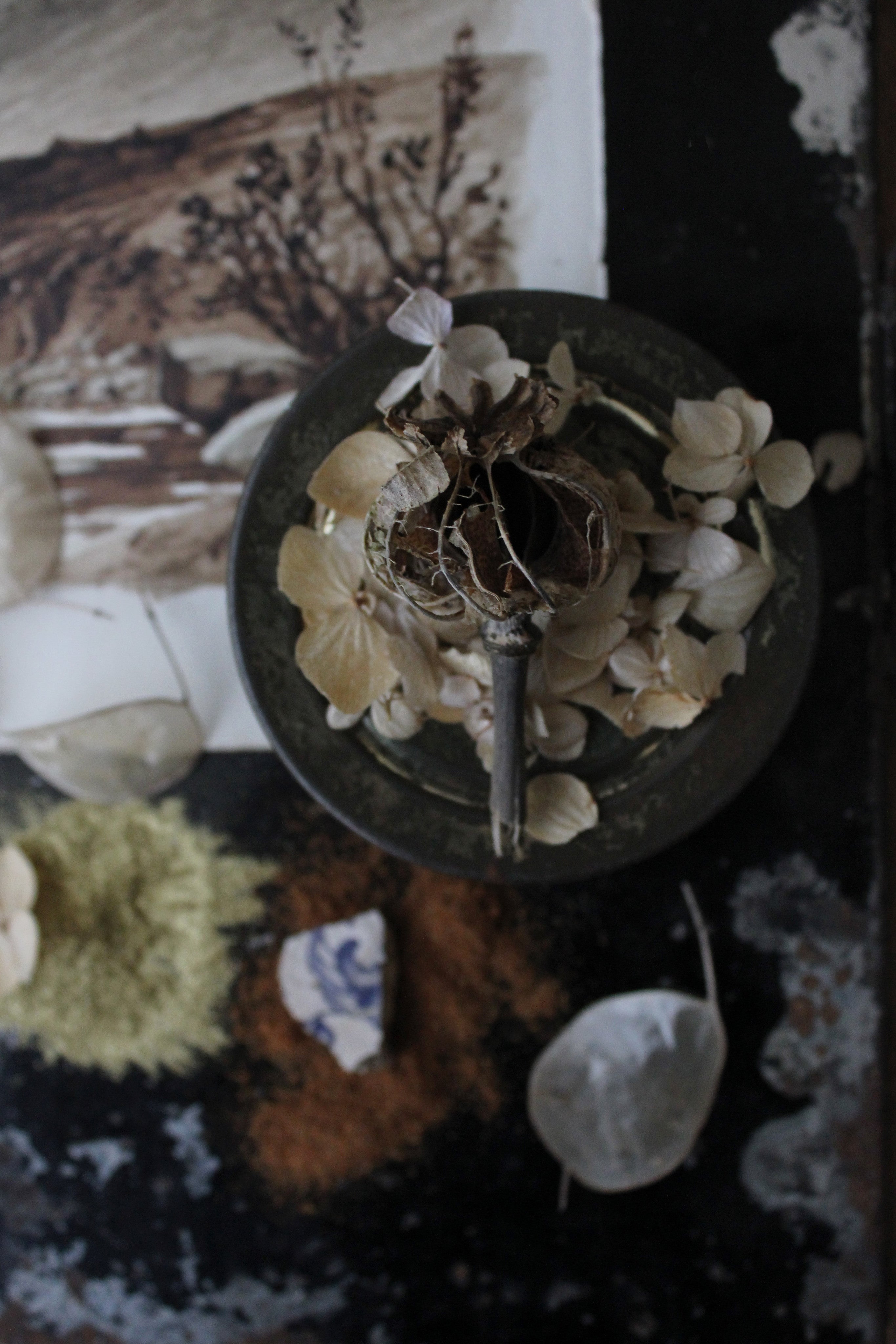 CAPTURING AUTUMN - SUNDAY 15TH OCTOBER