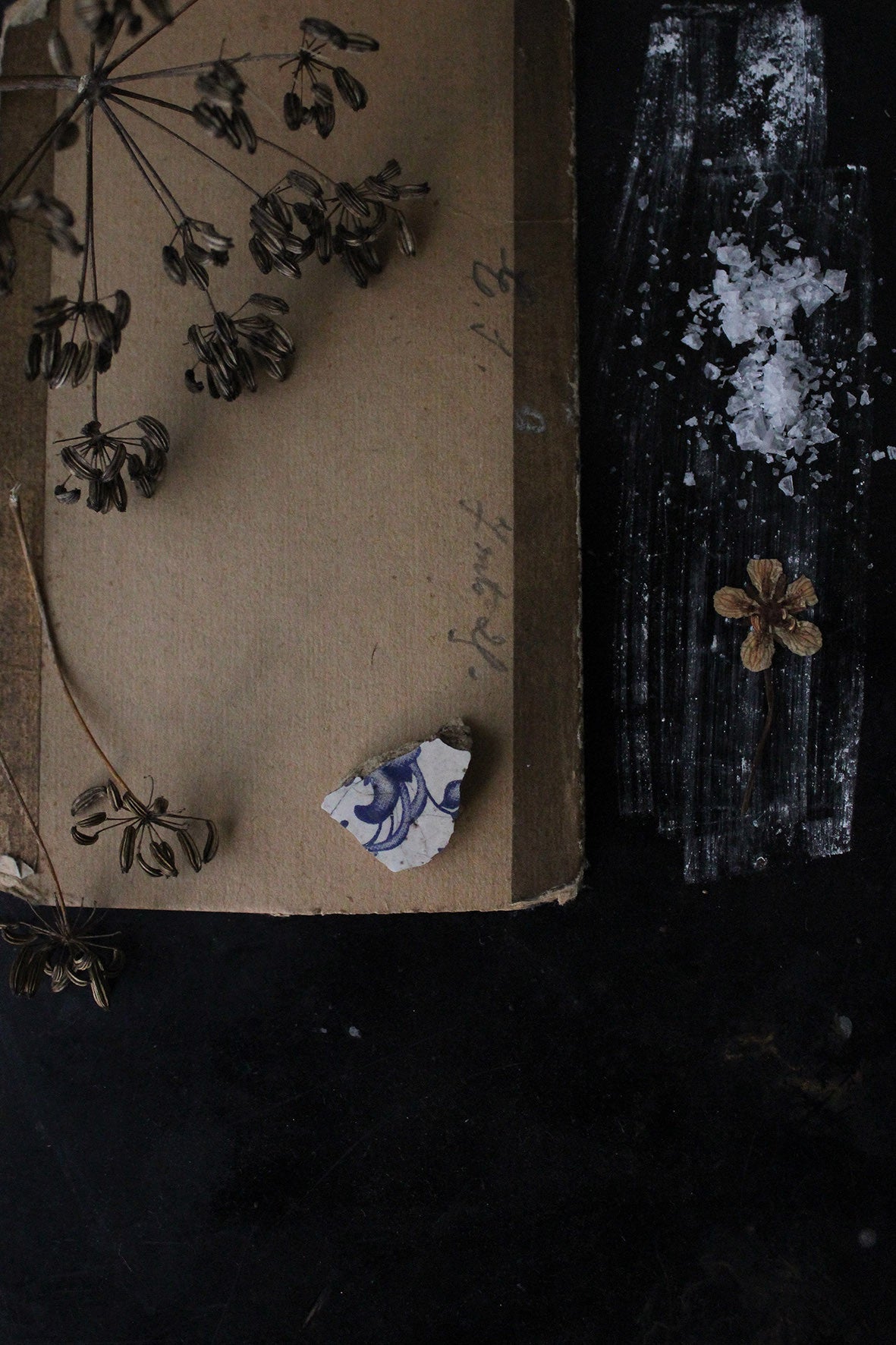 CAPTURING AUTUMN - SUNDAY 15TH OCTOBER